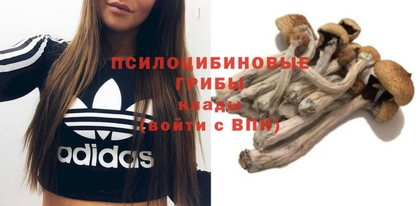 крисы Абаза