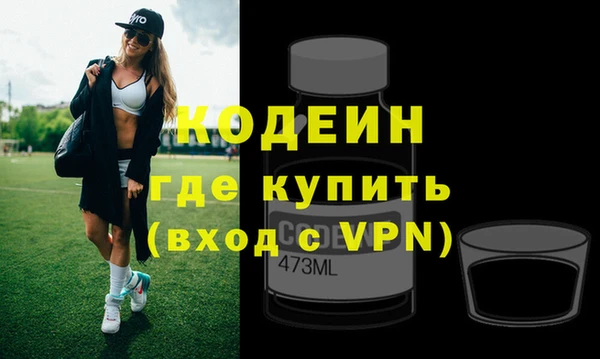 крисы Абаза