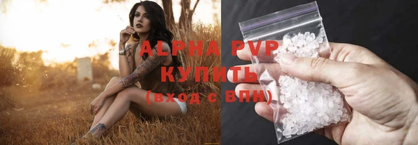 крисы Абаза