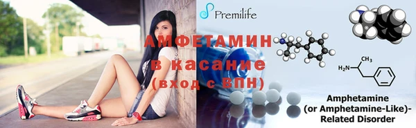 крисы Абаза
