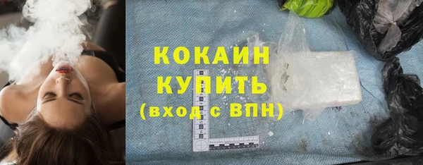 крисы Абаза