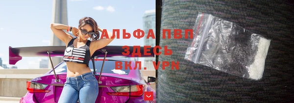 крисы Абаза